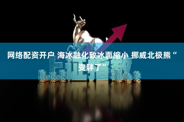 网络配资开户 海冰融化致冰面缩小 挪威北极熊“变胖了”
