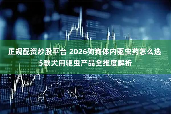 正规配资炒股平台 2026狗狗体内驱虫药怎么选 5款犬用驱虫产品全维度解析